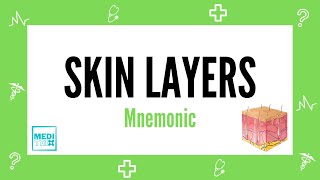 Skin Layers  Layers of skin  Mnemonic  Hindi  Skin  Dermatology  Medi Trix [upl. by Dorran444]