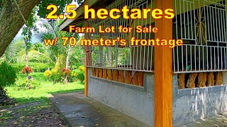 FARM LOT FOR SALE PROP 152 2 HECTARES SAN PALO CITY LAGUNA [upl. by Adnilasor]