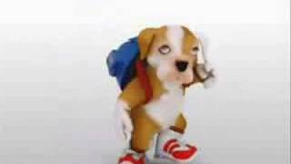 perro bailando chacarron [upl. by Penhall]