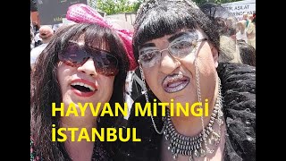 HAYVAN HAKLARI MİTİNGİ [upl. by Aydidey710]