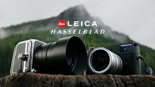 Hasselblad 907X vs Leica M11  Battle of Luxury Cameras wdavidherring [upl. by Poore]