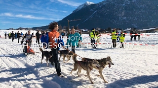 Hundeschlitten EM Inzell 2017 Bayern DJI Osmo 4k Schlittenhunde [upl. by Artemus]