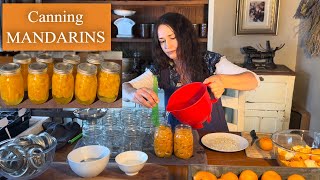 How To Can Mandarins And Preserve Them For Later [upl. by Latyrc]