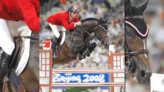 Jumper Horse Hickstead [upl. by Lenci53]