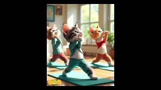 Cat Yoga Show A yoga routine for young catsCat Yoga show kitten Yoga daily [upl. by Aicile]