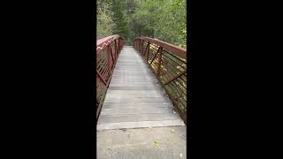 Southern Oregon River Walk with Moose my dog [upl. by Attennek]