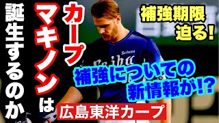 【広島東洋カープ】新外国人選手補強についての新情報！？ ＫＢＯサムスンを退団したマキノンをカープが狙っているという噂は！？ 【ブラッド・エルドレッド】【新井貴浩】【デビッド・マキノン】【カープ】 [upl. by Rotsen]