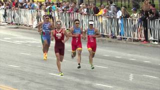 2015 ITU World Triathlon Chicago  Elite Mens Highlights [upl. by Shaylyn]