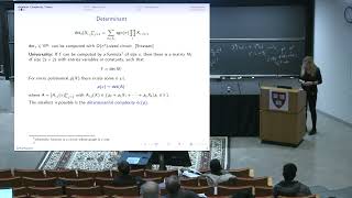 CDM 2023 Greta Panova Computational complexity in algebraic combinatorics II [upl. by Delainey58]