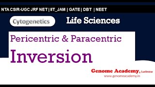 Pericentric amp paracentric Inversion  cytogenetics  CSIR  NTA  JRF  NET  Life Sciences [upl. by Sirtimed650]