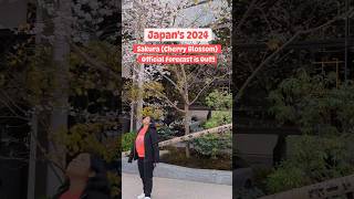 Japans Cherry Blossom 🌸 dates for 2024 are out Check amp Plan now 😍 shorts japan cherryblossom [upl. by Mcevoy]