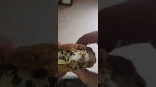 TraderJoes Sublime Ice Cream Sandwich Review Part 4 icecreamsandwich traderjoes foodlover [upl. by Ahsenad160]