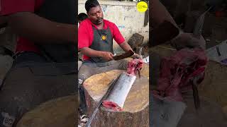 KASIMEDU SPEED SELVAM INDO PACIFIC SAILFISH CUTTING VIDEO bigfishcutting kasimeduselvam shorts [upl. by Gautea]