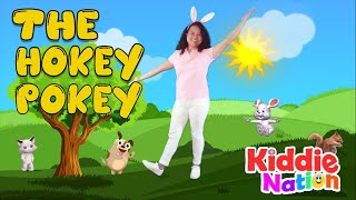 The Hokey Pokey action song with lyrics [upl. by Onitnatsnoc]