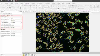 ImagePro v11 Cell Biology Plus Protocols  Neurite Outgrowth [upl. by Saxela]