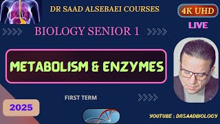 Biology Senior 1  Metabolism amp Enzymes  1St term 2025 [upl. by Pilloff]