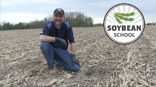 Soybean School Five key agronomic decisions for planting season [upl. by Ulund192]