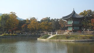 Gyeongbokgung Palace in autumn [upl. by Jalbert926]