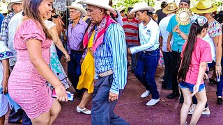 🎻💐 Feliz Domingo De Ramos REVIVE Uno De Los Mejores Domingos De Huapango En Xilitla [upl. by Pachton752]