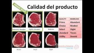 Fracción arancelaria y calidad del producto bases para exportar [upl. by Berg]