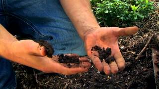 Building Healthier Soils [upl. by Bean]