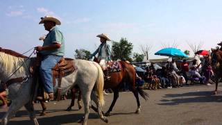 Crow Fair 2013 Parade Sunday [upl. by Tenay751]