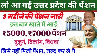 up pension news लो आ गई उत्तर प्रदेश की पेंशन इस खाते में ₹5000  ₹7000 पेंशन  pension  pensions [upl. by Shulem312]