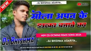 Mola Apnan Ke Dauka Banabe Ka Chhattisgarh Octapad Mix Song 2024 Remix Dj Bhishma Agariya [upl. by Ailatan]