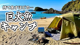 砂浜で釣りキャンプ！想定外の巨大魚に嬉しい悲鳴！ [upl. by Leno506]