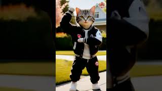 Billi🤣😭😜ka music dancecatvideosshortsfeed shortsvideocartoon video khesari Lal Yadav [upl. by Rafaj]