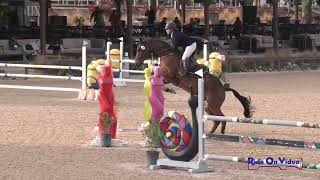 073S Chellsey Latham on DSL Tarquin Open Preliminary Show Jumping Galway Downs Nov 2024 [upl. by Lemej]