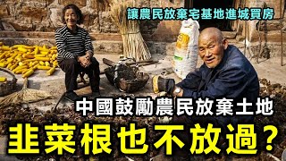 韭菜根也不放過？中國多地鼓勵農民放棄土地進城買房 [upl. by Ahsatam477]