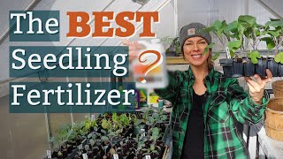 What is the Best Fertilizer for Seedlings [upl. by Ahtnams913]