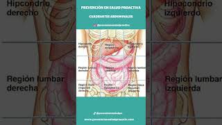 🥼CUADRANTES ABDOMINALES🩺 [upl. by Lepley]