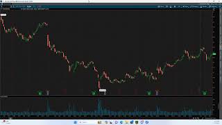 Lecture Thinkorswim TOS Tutorial wRiver  Feb 1 2024 [upl. by Annabela]