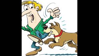 Dog Attack Attorney  Cerritos Accident Lawyer [upl. by Srednas]