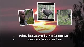 Årets första släpp [upl. by Aleirbag]