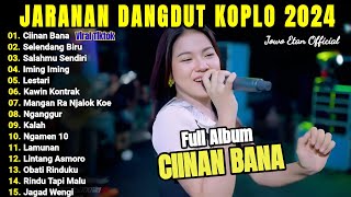 LAGU DANGDUT KOPLO TERBARU 2024  CIINAN BANA  SELENDANG BIRU FULL ALBUM 2024 [upl. by Adnahc919]