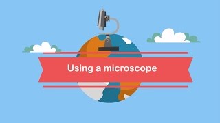 Using a microscope The parts and how to focus [upl. by Grier]