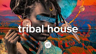 Deep Techno amp Tribal House Mix  December 2019 HumanMusic [upl. by Seessel]