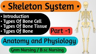 Skeletal System Anatomy and Physiology Nursing  Anatomy and Physiology For Nursing Student [upl. by Gilbart]