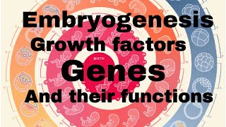 Growth factorsgenes their functions in embryogenesis  MisMedicine [upl. by Gascony659]