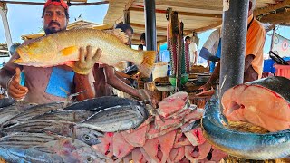 WoW ATTRACTIVE Biggest Street Fish Cutting Fish Market In Sri Lanka EXPERT MASTER FISH CUTTING [upl. by Norb]