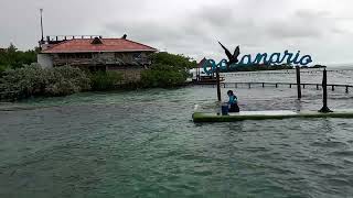 Oceanario Islas del Rosario  Cartagena  Colombia [upl. by Alliuqa]