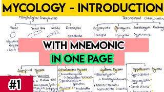 Mycology introduction  Fungi introduction with trick  fungi classification [upl. by Esinaj]