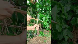 Bamboo creation with new Arrow world technology Technology Diy Bamboo [upl. by Lumbard]