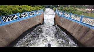 Thirumoorthy Dam Udumalpet FoodieumarVlogs TheMaskedTravellor foodieumar [upl. by Halimak]