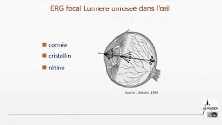 ERG multifocal 1 Introduction [upl. by Luane]