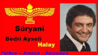 Bedri Ayseli  Halay Turkish  Arabic  Aramaic [upl. by Gievlos403]