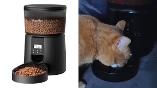 Everything To Know About The Espelho Automatic Cat Feeder [upl. by Harol]